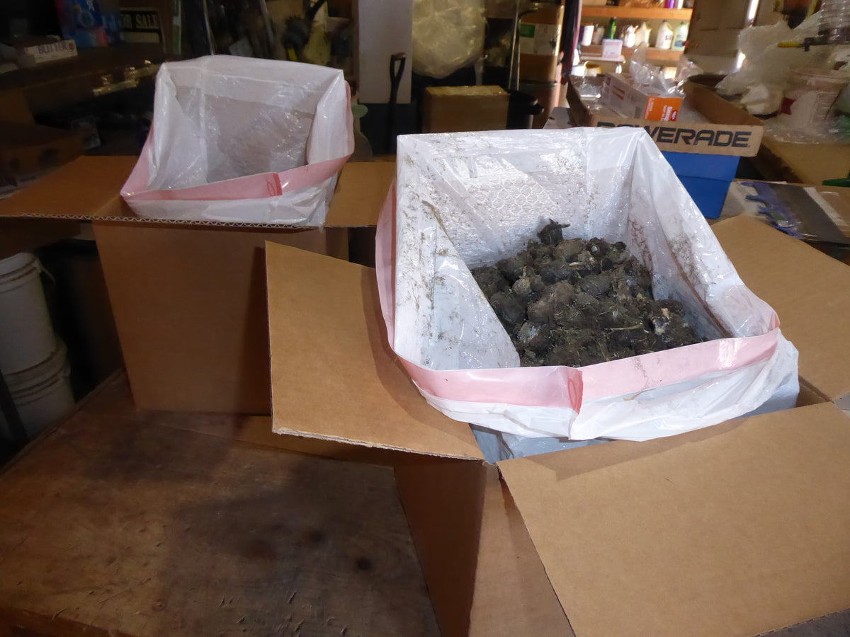 Cube box of Bargain Pellets in an 8"x 8"x 8" box Discount Owl Pellets