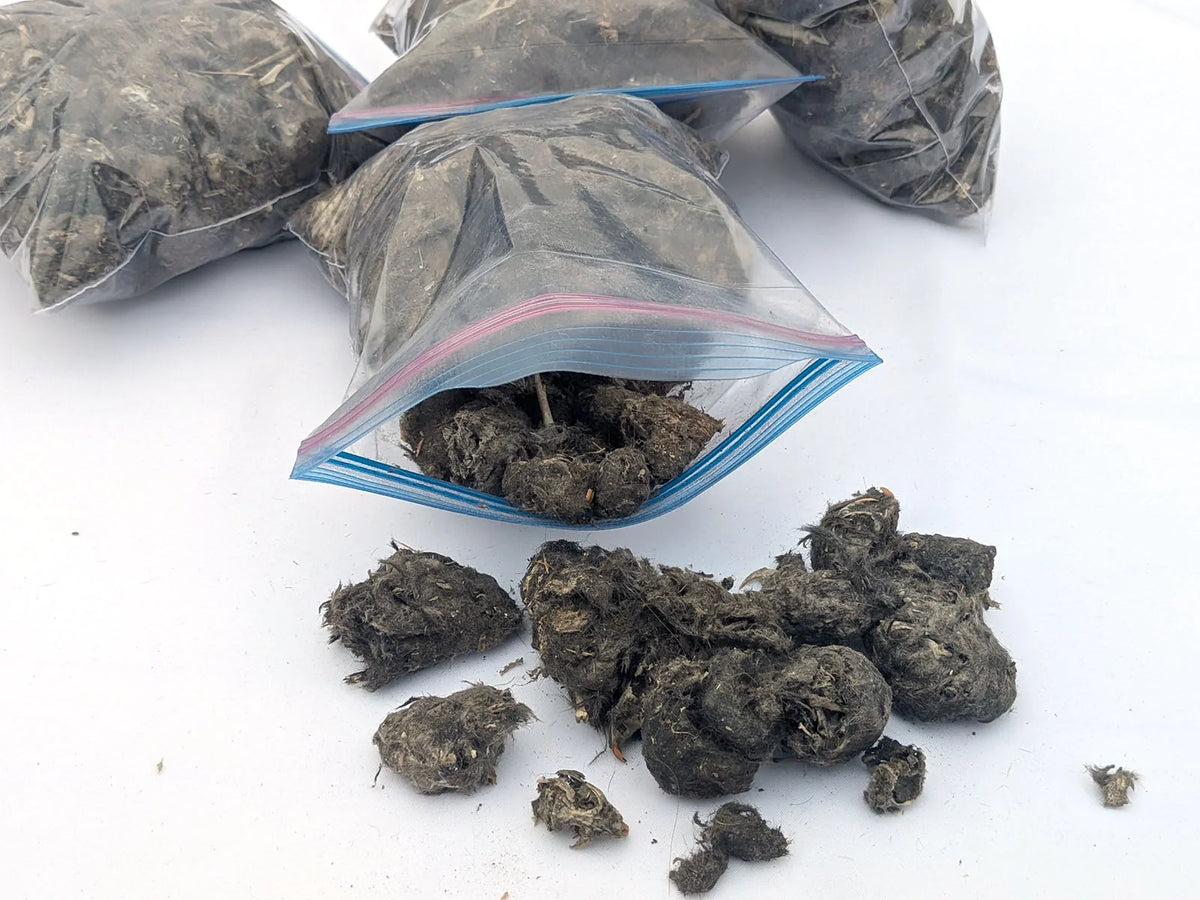 Four quart bags with loose barn owl pellet material