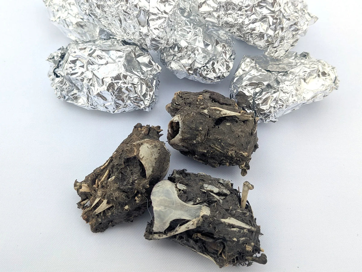 Foil-wrapped barn owl pellets beside bird-bone-selected specimens