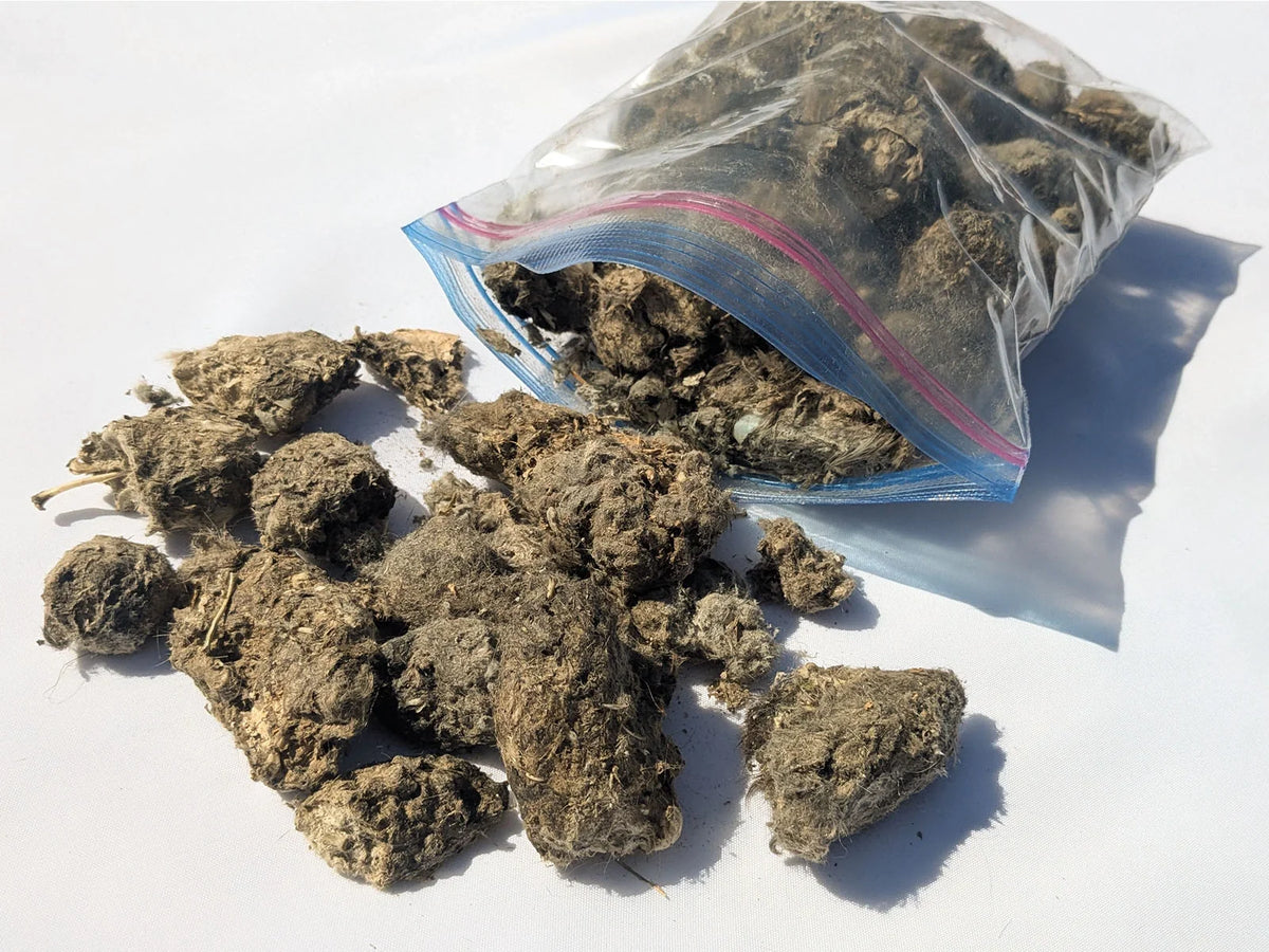 Quart bag showing the package format used for loose owl pellet material; contents vary