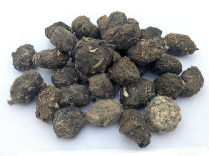 Group of Small Premium #1 barn owl pellets