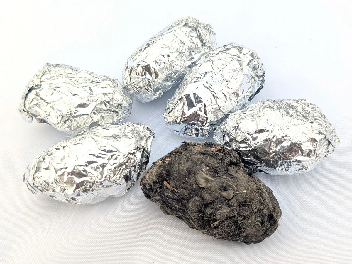 Foil-wrapped and unwrapped barn owl pellets photographed together