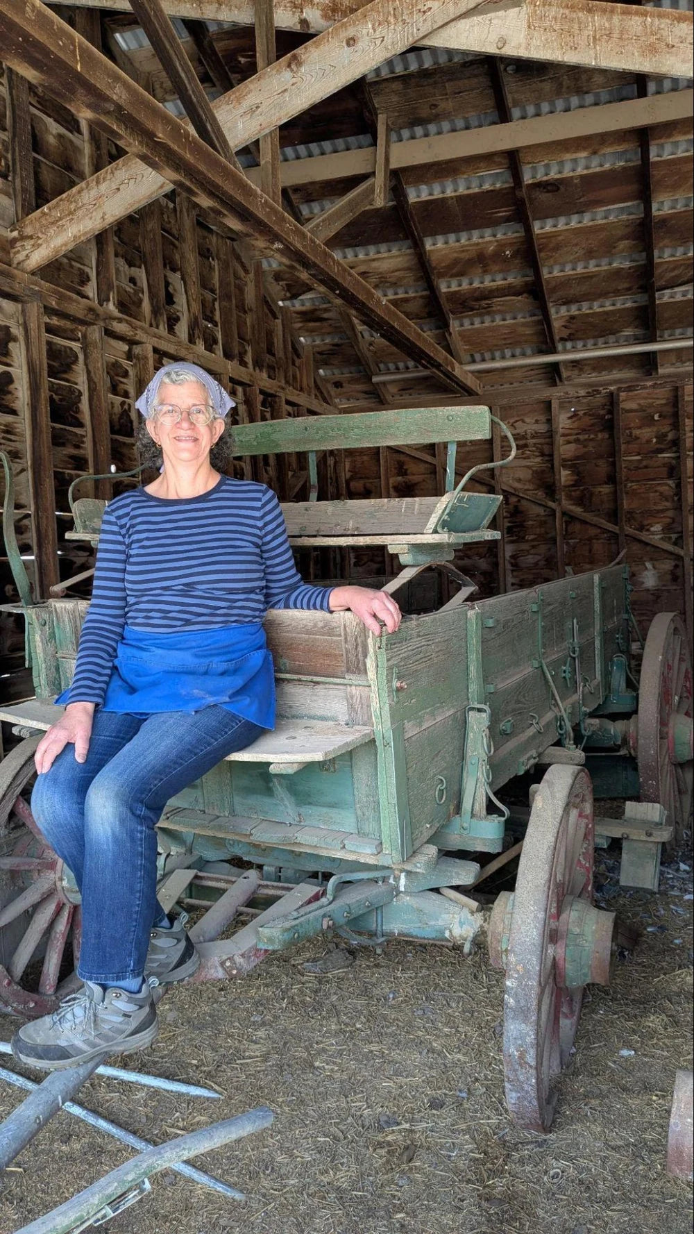 Patty Andersen seated beside an antique wagon in the family barn